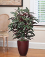 Faux Mango Plant. Available at Petals.