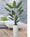 Paradise Palm Floor Ship-Shape Faux Plant, available at Petals.