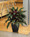 Aspidistra Faux Floor Plant, by Petals.