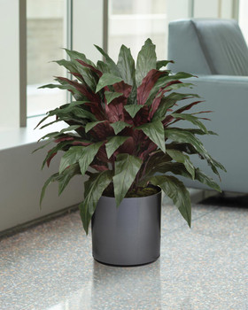 Double Aspidistra Faux Floor Plant, by Petals.