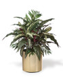 Aspidistra, Palm & Silver King Silk Foliage Planter, by Petals.