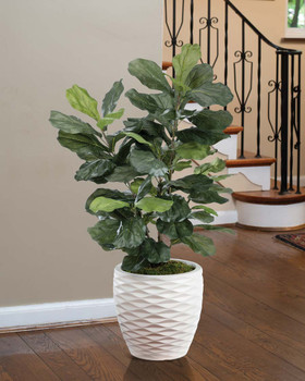 Fiddle Leaf Silk Plant