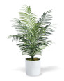 Faux Areca Palm Plant
