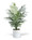 Faux Areca Palm Plant