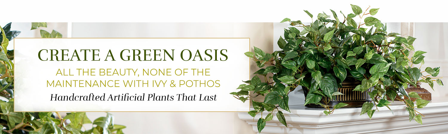 Silk Ivy & Pothos Plants