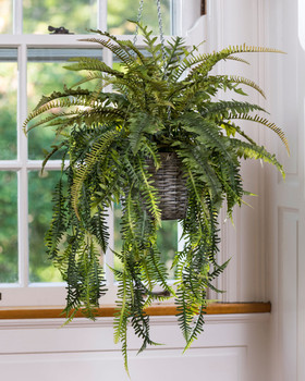 Mixed Hanging Ferns Silk Foliage Planter
