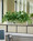 Silk Pothos Cubicle
