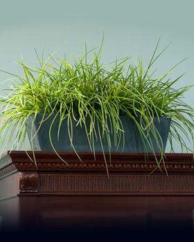 Kenwood Grass Armoire Topper 