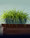 Kenwood Grass Armoire Topper 