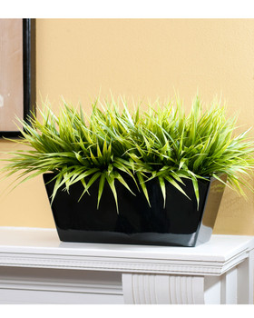 Bermuda Grass File Topper
