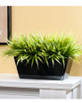 Bermuda Grass File Topper