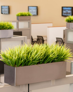 Grass Cubicle Planter