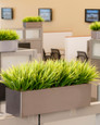 Grass Cubicle Planter