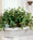 Lush Silk Ivy Pothos Silk Plant in Oval Container