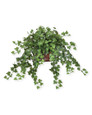 Cascading English Ivy Silk Planter