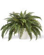 21" Premier Fern Faux Foliage Planter. Available at Petals.