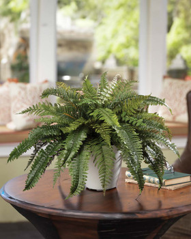21" Premier Fern Faux Foliage Planter. Available at Petals.