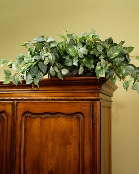 Silk Pothos & Fittonia Armoire Topper
