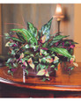 silver king & wandering jew silk planter, cascading assortment, mauve with variegated verdant leaves in aged metal planter