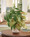 Money Tree & Caladium Faux Foliage Planter, by Petals.