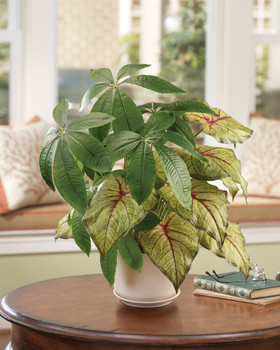 Money Tree & Caladium Faux Foliage Planter, by Petals.