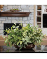 Mixed Silk Foliage Planter, by Petals.