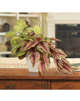 Mixed Begonia Faux Foliage Planter, by Petals.