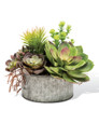 Succulent Obsession Artificial Foliage Planter