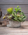 Succulent Obsession Artificial Foliage Planter