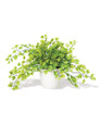 Maidenhair Fern Silk Foliage Plant