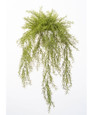 Cascading Springerii Artificial Fern Plant