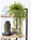 Cascading Springerii Artificial Fern Plant