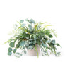 Eucalyptus & Fittonia<br>Faux Foliage Arrangement