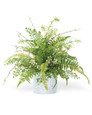 Fern & Berry Fusion<br>Faux Foliage Arrangement