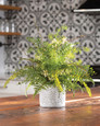 Fern & Berry Fusion<br>Faux Foliage Arrangement