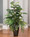 Fiddle Leaf & Palm Faux Foliage Arrangement - Interior Décor