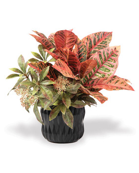 Croton & Schefflera Faux Foliage Planter