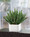 Desktop Cactus Faux Succulent Planter, by Petals.