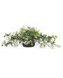 Fittonia, Laurel & Berries Mixed Faux Foliage Arrangement, by Petals.