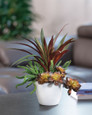 Yucca, Cactus & Echeveria Mixed Faux Foliage Planter, by Petals.