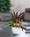 Yucca, Cactus & Echeveria Mixed Faux Foliage Planter, by Petals.