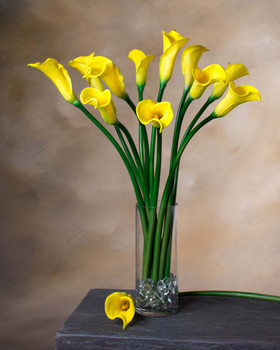 Yellow Silk Calla Lily Bud Flower Stem