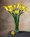 Yellow Silk Calla Lily Bud Flower Stem