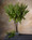 29" Fall Astilbe Faux Flower Spray