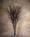 52" Artificial Birch Twig Branch Stem
