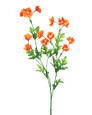 Orange Baby Cosmos Silk Flower Stem