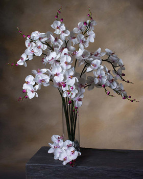 Cream/Purple Artificial Phalaenopsis Orchid Stem