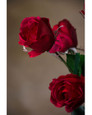 Red Rose Bud Silk Flower Stem