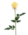 Yellow Rose Bud Silk Flower Stem