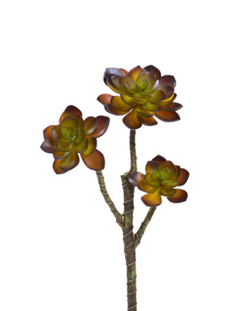 Faux Echeveria Artificial Foliage Spray - 13" - Coffee